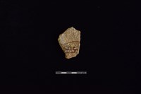 陶片藏品圖，第2張